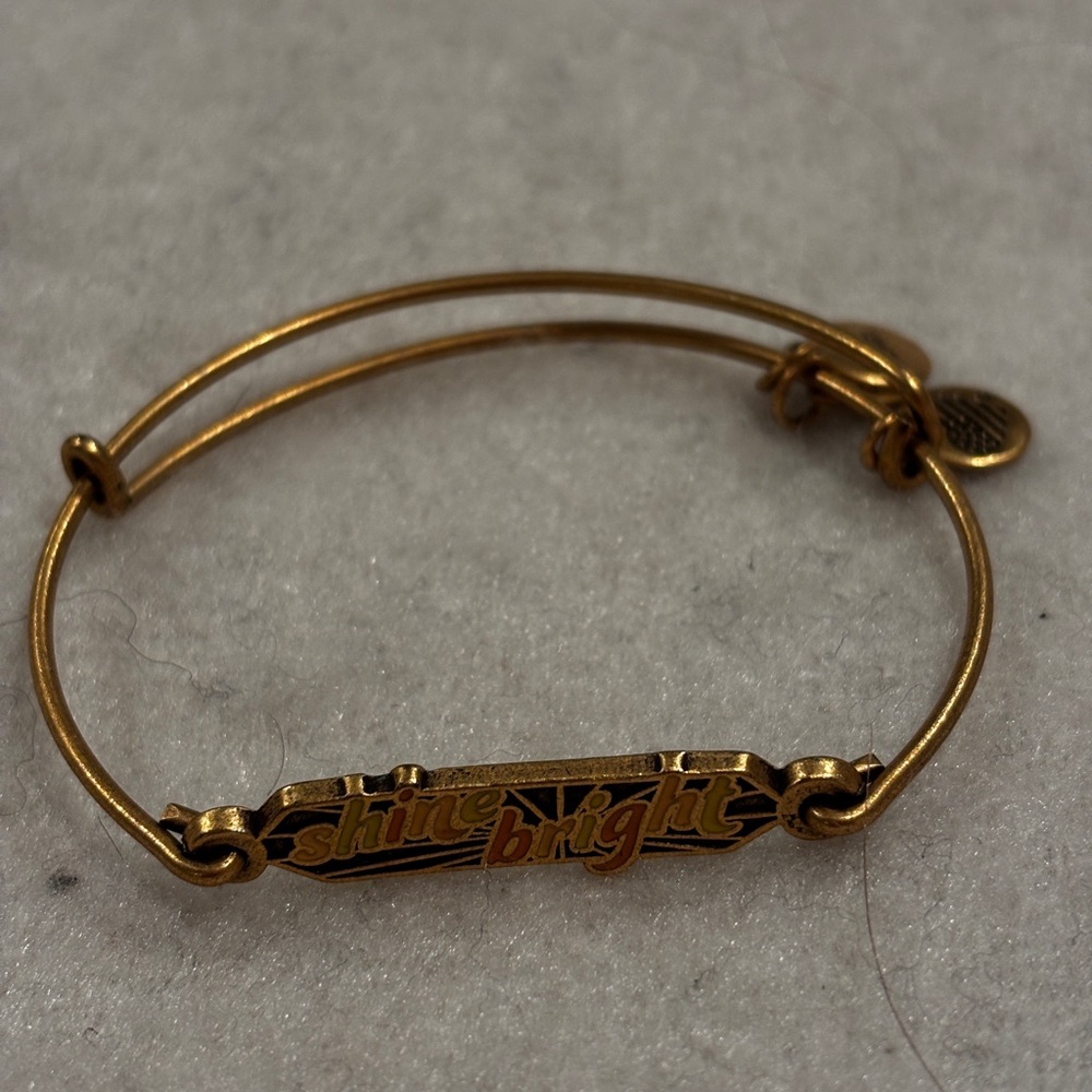 Alex and ani bangle bracelet